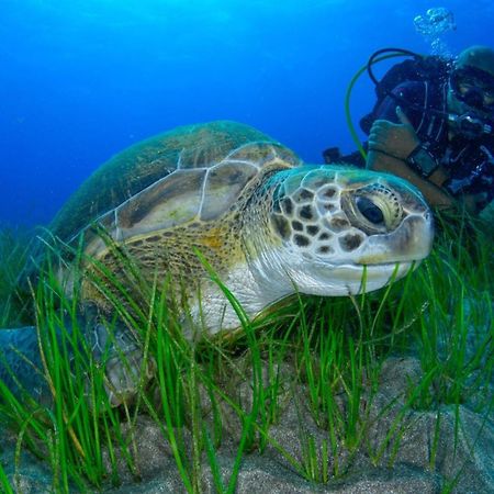 219 Las Eras On The Sea エクステリア 写真